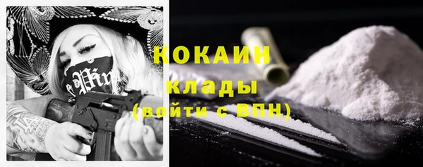 a pvp Каменногорск
