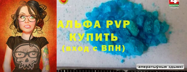 a pvp Каменногорск